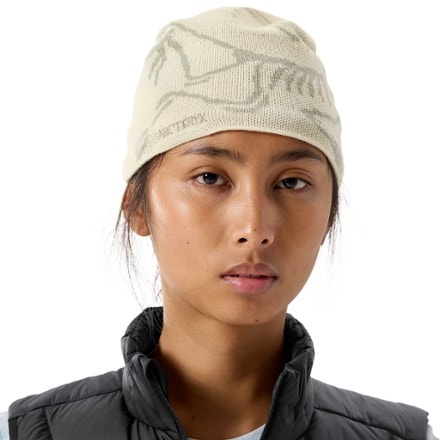 Arc'teryx Bird Head Toque Beanie 1