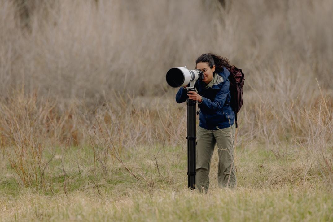 Location Image for Pro Lite Tripod