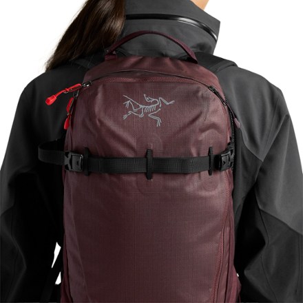 Arc'teryx Quintic 16 Snow Pack 6