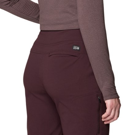 Mountain Hardwear Dynama Ankle Pants - Women's 10