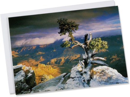 Sierra Club Holiday Card Set Package of 12 REI Coop