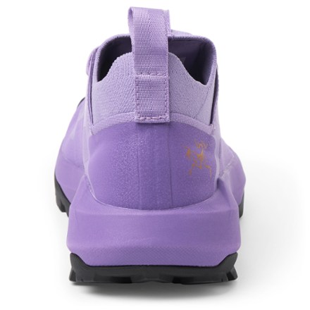 Arc'teryx Vertex Alpine GTX Approach Shoes - Women's | REI Co-op