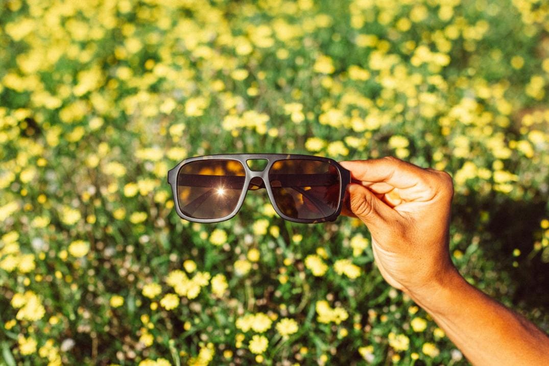 Location Image for Paladino Polarized Sunglasses