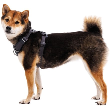 Ruffwear Front Range Dog Harness 4