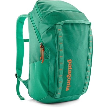 Patagonia Black Hole Pack - 32 L 0