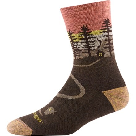 Darn Tough Northwoods Micro Crew Midweight Hiking Socks - Women's 1