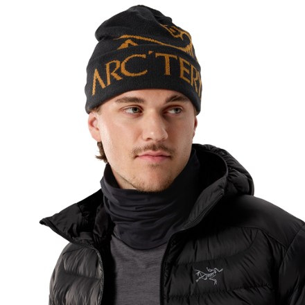 Arc'teryx Bird Word Toque 4