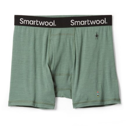 Smartwool Merino Sport 250 Wind Boxer Brief - Men's, Boxers & Briefs