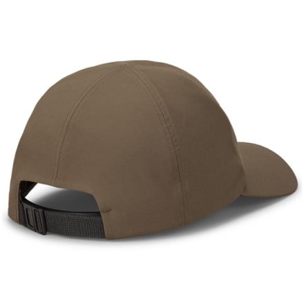 Arc'teryx Bird Word Cap 1