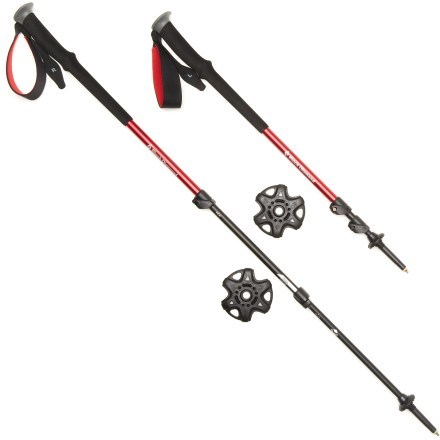 trail back trekking pole