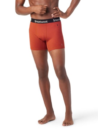 Smartwool Merino Sport Boxer Briefs - Men's 1