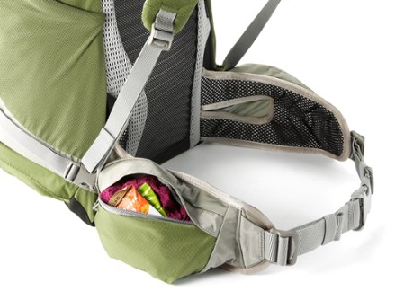 Alternate View (Conifer Green)