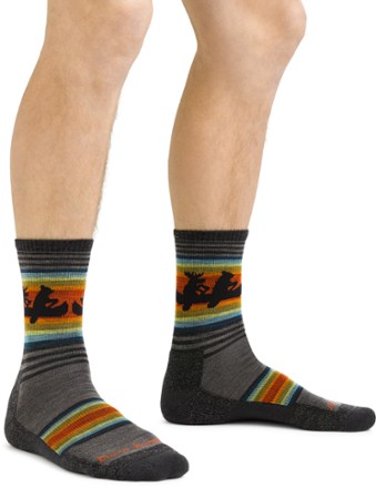 Darn Tough Willoughby Micro Crew Lightweight Hiking Socks - Men's 2