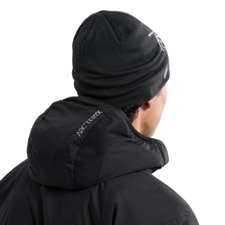 正規品 arc'teryx Bird Head Toque black 黒 【公式通販】