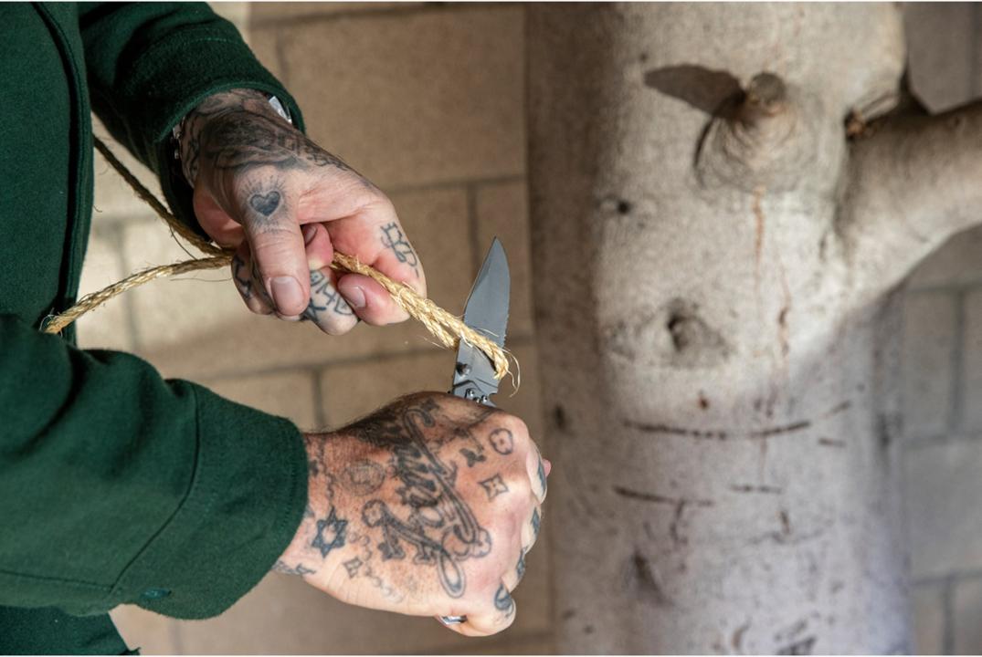 Location Image for Paraframe II Knife - Serrated