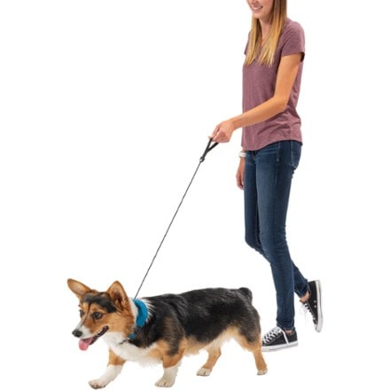 Nite Ize RadDog All-In-One Collar and Leash 2