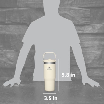 Stanley IceFlow Straw Tumbler - 30 fl. oz. 3