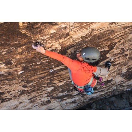 Location Image of color Desert Sage