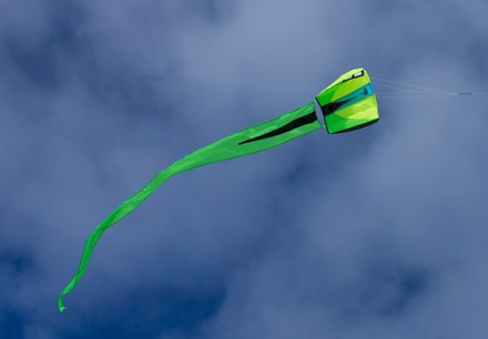 Prism Designs Bora 2 SingleLine Kite at REI