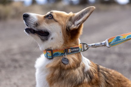 Ruffwear Crag Collar REI Co op