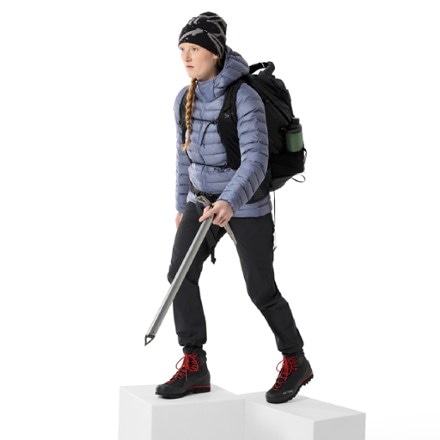 Arc'teryx Cerium Down Hoody - Women's 3