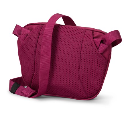 Arc'teryx Mantis 1 Waistpack 9