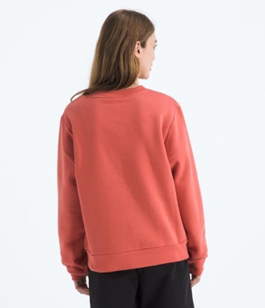 The North Face Evolution Sketch Logo Half Dome Crew Shirt - Women's 1