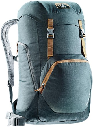 deuter walker 20 pack