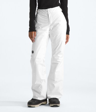 The North Face Descendit Snow Pants - Women's 1