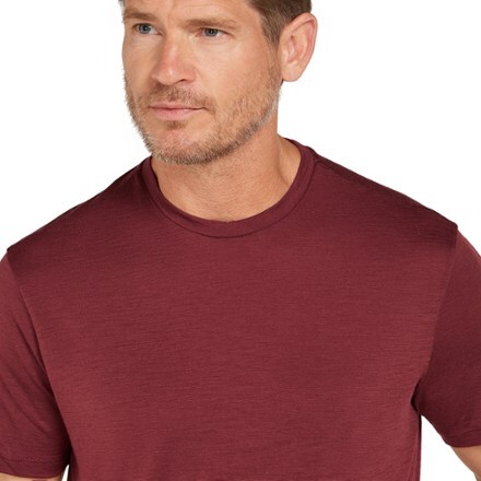 Icebreaker Merino 150 Tech Lite III T-Shirt - Men's 4