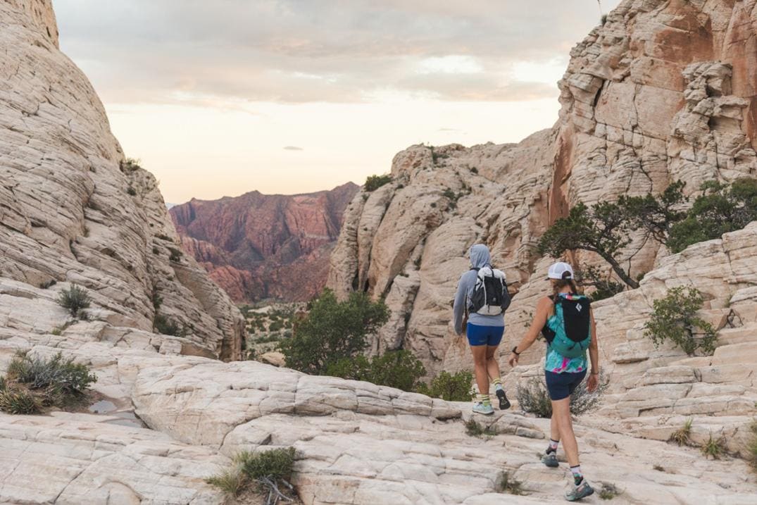 Location Image for Lone Peak 8 Trail-Running Shoes - Women's
