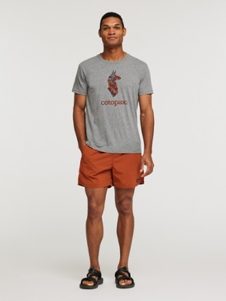 Cotopaxi Altitude Llama Organic T-Shirt - Men's 3