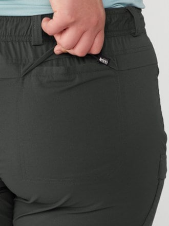 REI Co-op Sahara Convertible Pants - Women's 10
