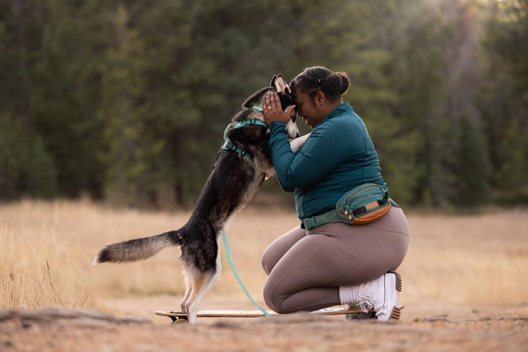 Location Image for Dog Walking Utility Pack