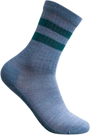 Icebreaker Hike Light Crew Macro Stripe Socks
