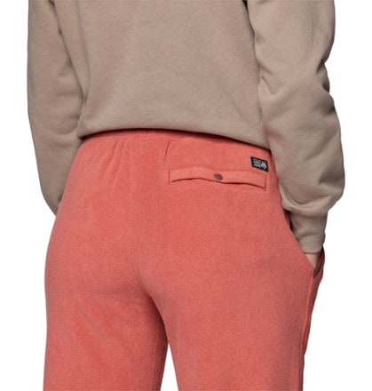 Mountain Hardwear Microchill Joggers - Women's 5