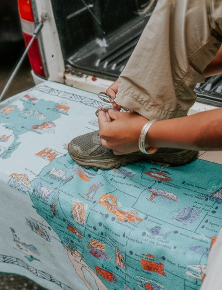 Location Image for Original Towel