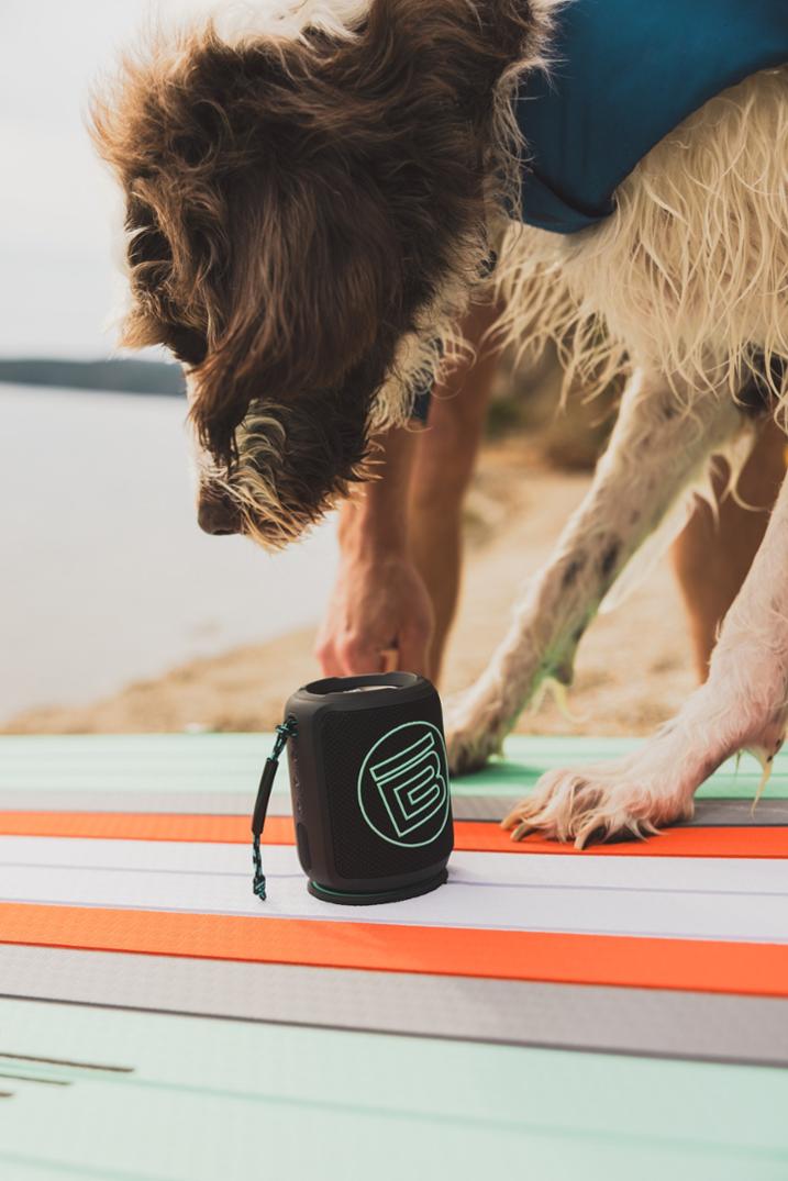 Location Image for MAGNEBoom Swell Speaker