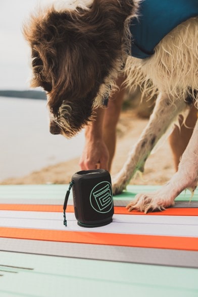 Location Image for MAGNEBoom Swell Speaker