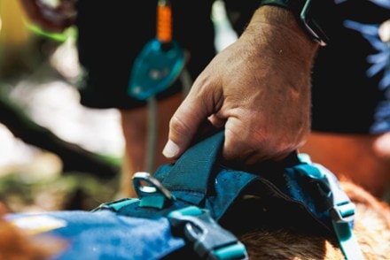 Ruffwear Flagline Dog Harness 7
