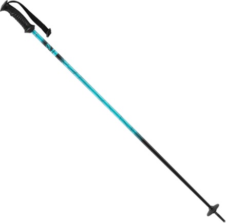 teal ski poles
