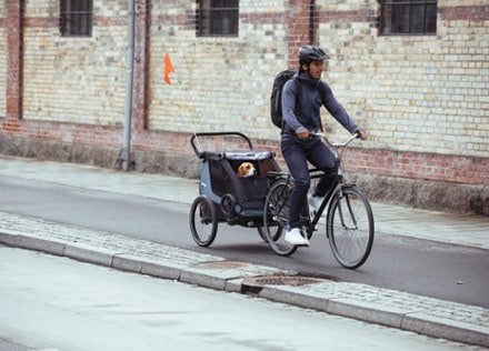 Thule Courier Dog Trailer Kit Includes roll up mesh window & rain cover and removable padded dog bed. Trailer not included.