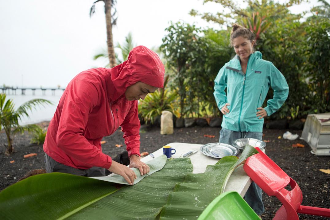 Location Image for Light & Variable Jacket - Women's