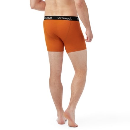 Smartwool Active Boxer Briefs - Men's 2