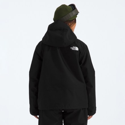 The North Face GTX Hex Jacket - Women's 2