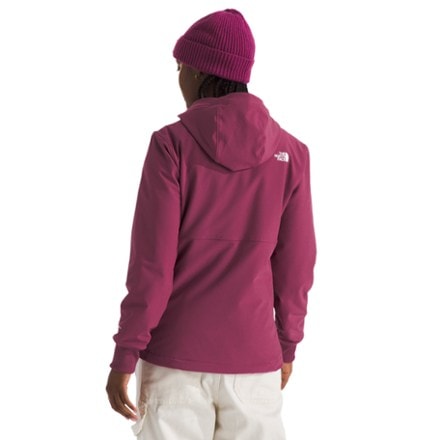 The North Face Shelbe Raschel Hoodie - Women's 1