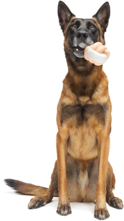 Bark Doggone Fishin' Super Chewer Dog Toy 5