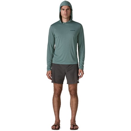 Patagonia Capilene Cool Daily Graphic Hoody - Men's | REI Co-op