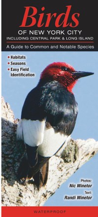 Quick Reference Publishing Birds of New York City 0