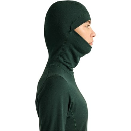 Arc'teryx Satoro Merino Wool Base Layer Hoody - Women's 6